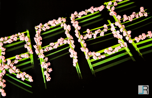 The word Rage made out of green glowsticks, layered with pink flowers on a black background